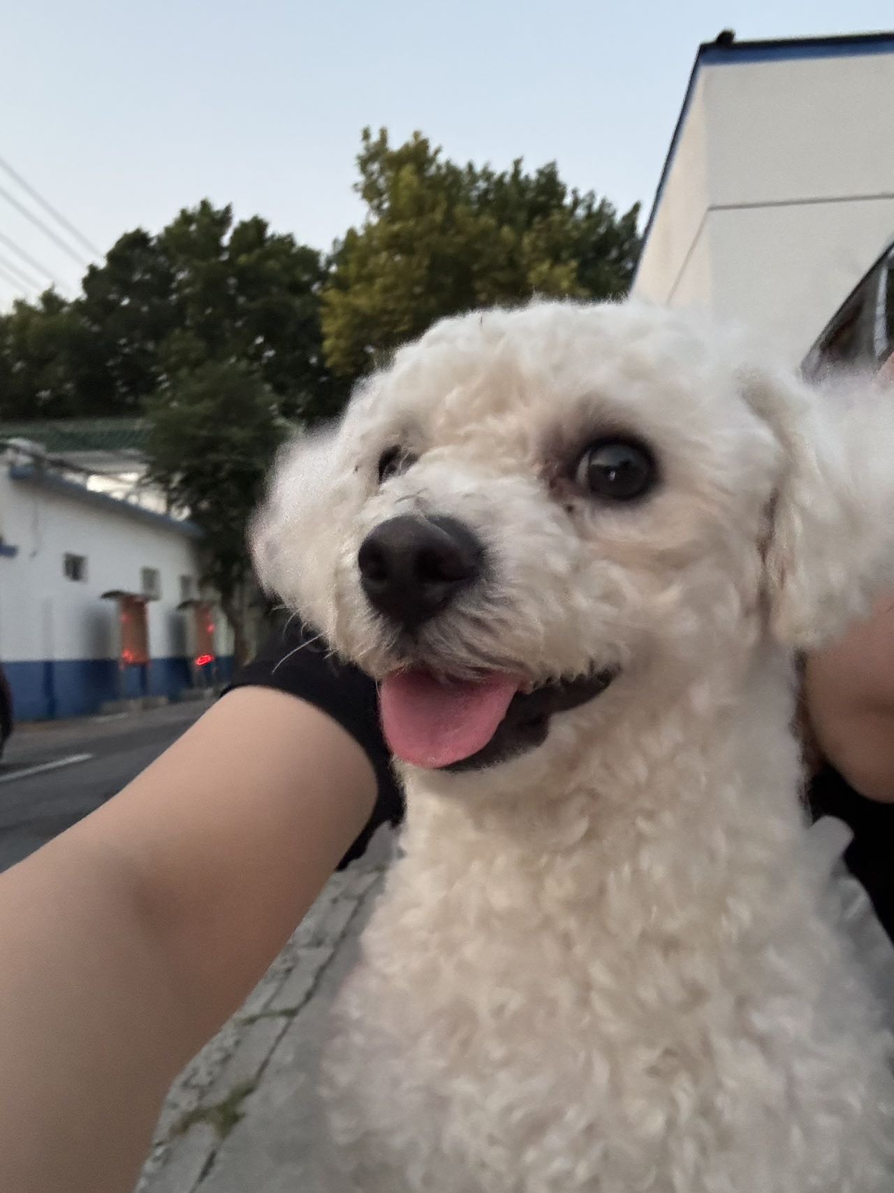 也是住过局子的小狗了哈哈哈哈哈