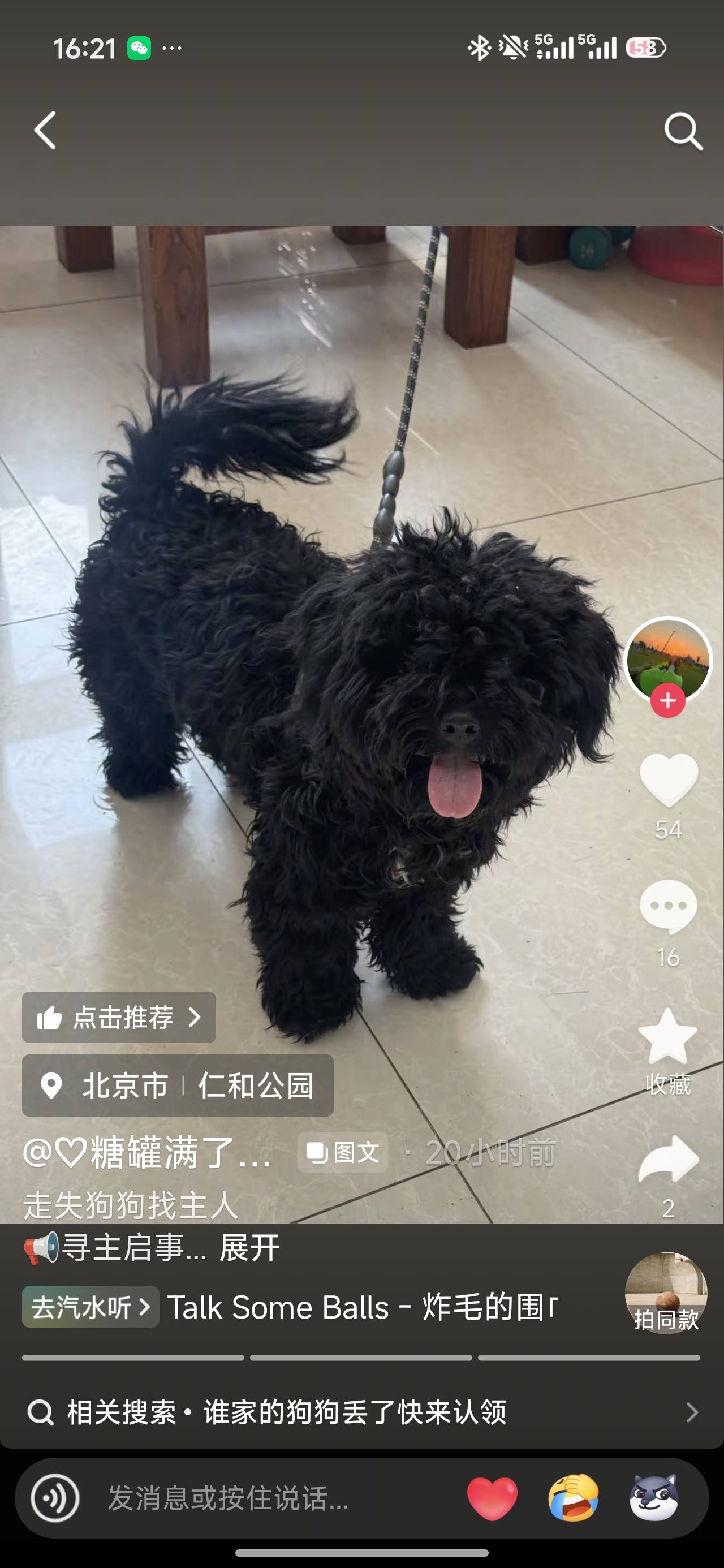 寻主 · 狗·泰迪 急寻主人